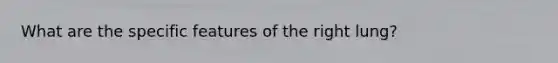 What are the specific features of the right lung?