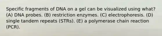 Specific fragments of DNA on a gel can be visualized using what? (A) DNA probes. (B) restriction enzymes. (C) electrophoresis. (D) single tandem repeats (STRs). (E) a polymerase chain reaction (PCR).