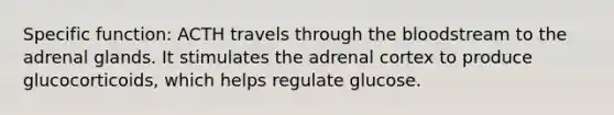 Specific function: ACTH travels through the bloodstream to the adrenal glands. It stimulates the adrenal cortex to produce glucocorticoids, which helps regulate glucose.