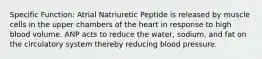 Specific Function: Atrial Natriuretic Peptide is released by muscle cells in the upper chambers of the heart in response to high blood volume. ANP acts to reduce the water, sodium, and fat on the circulatory system thereby reducing blood pressure.