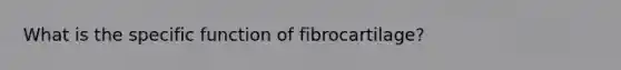 What is the specific function of fibrocartilage?