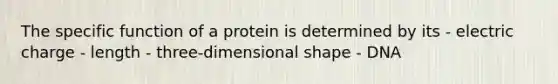 The specific function of a protein is determined by its - electric charge - length - three-dimensional shape - DNA