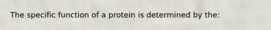 The specific function of a protein is determined by the: