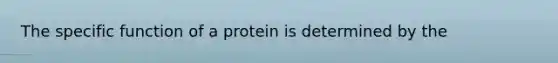 The specific function of a protein is determined by the