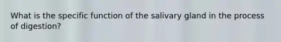 What is the specific function of the salivary gland in the process of digestion?