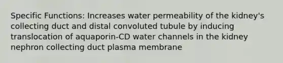 Specific Functions: Increases water permeability of the kidney's collecting duct and distal convoluted tubule by inducing translocation of aquaporin-CD water channels in the kidney nephron collecting duct plasma membrane