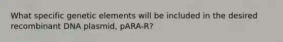 What specific genetic elements will be included in the desired recombinant DNA plasmid, pARA-R?