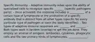 Specific Immunity: - Adaptive immunity relies upon the ability of specialized cells to recognize specific _______ (specific pathogens parts). - Once activated, the response includes a ___________ of a certain type of lymphocyte or the production of a specific antibody that is distinct from all other types (specific for every particular type of pathogen or toxin the body identifies). - Two types of adaptive immune responses are: _______ and _______. - Both types work in tandem (overlap) to get the job done. They employ an arsenal of antigens, antibodies, cytokines, phagocytic cells and the two primary kinds of lymphocytes, ______________.