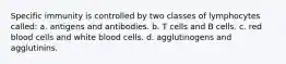 Specific immunity is controlled by two classes of lymphocytes called: a. antigens and antibodies. b. T cells and B cells. c. red blood cells and white blood cells. d. agglutinogens and agglutinins.