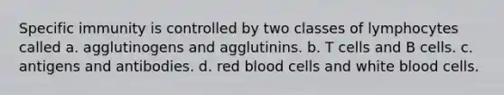 Specific immunity is controlled by two classes of lymphocytes called a. agglutinogens and agglutinins. b. T cells and B cells. c. antigens and antibodies. d. red blood cells and white blood cells.