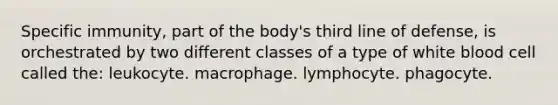 Specific immunity, part of the body's third line of defense, is orchestrated by two different classes of a type of white blood cell called the: leukocyte. macrophage. lymphocyte. phagocyte.