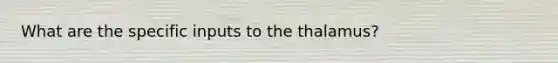 What are the specific inputs to the thalamus?