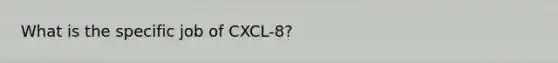 What is the specific job of CXCL-8?