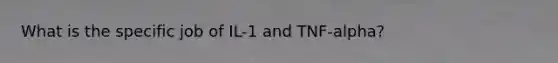 What is the specific job of IL-1 and TNF-alpha?