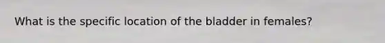 What is the specific location of the bladder in females?