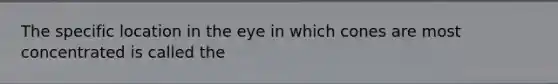 The specific location in the eye in which cones are most concentrated is called the