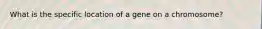 What is the specific location of a gene on a chromosome?