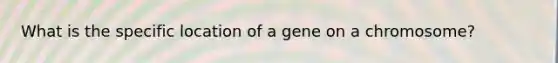 What is the specific location of a gene on a chromosome?