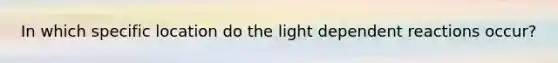 In which specific location do the light dependent reactions occur?