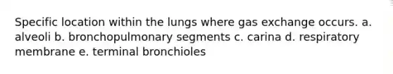 Specific location within the lungs where gas exchange occurs. a. alveoli b. bronchopulmonary segments c. carina d. respiratory membrane e. terminal bronchioles