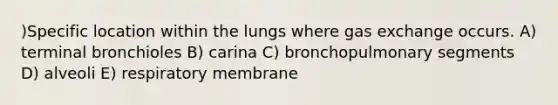 )Specific location within the lungs where <a href='https://www.questionai.com/knowledge/kU8LNOksTA-gas-exchange' class='anchor-knowledge'>gas exchange</a> occurs. A) terminal bronchioles B) carina C) bronchopulmonary segments D) alveoli E) respiratory membrane