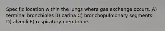 Specific location within the lungs where gas exchange occurs. A) terminal bronchioles B) carina C) bronchopulmonary segments D) alveoli E) respiratory membrane