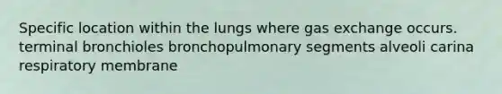 Specific location within the lungs where <a href='https://www.questionai.com/knowledge/kU8LNOksTA-gas-exchange' class='anchor-knowledge'>gas exchange</a> occurs. terminal bronchioles bronchopulmonary segments alveoli carina respiratory membrane