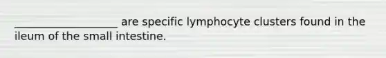 ___________________ are specific lymphocyte clusters found in the ileum of the small intestine.