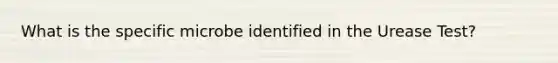 What is the specific microbe identified in the Urease Test?