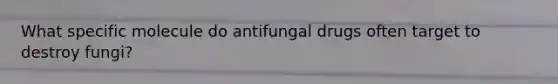 What specific molecule do antifungal drugs often target to destroy fungi?