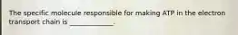 The specific molecule responsible for making ATP in the electron transport chain is _____________.