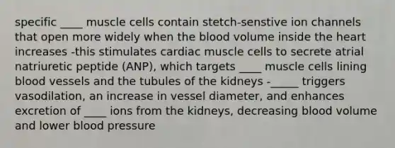 specific ____ muscle cells contain stetch-senstive ion channels that open more widely when the blood volume inside the heart increases -this stimulates cardiac muscle cells to secrete atrial natriuretic peptide (ANP), which targets ____ muscle cells lining blood vessels and the tubules of the kidneys -_____ triggers vasodilation, an increase in vessel diameter, and enhances excretion of ____ ions from the kidneys, decreasing blood volume and lower blood pressure