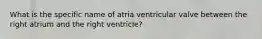 What is the specific name of atria ventricular valve between the right atrium and the right ventricle?