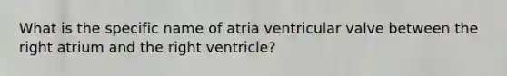 What is the specific name of atria ventricular valve between the right atrium and the right ventricle?