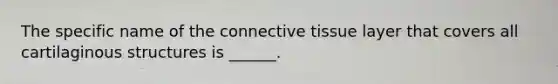 The specific name of the connective tissue layer that covers all cartilaginous structures is ______.