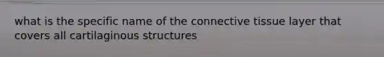 what is the specific name of the <a href='https://www.questionai.com/knowledge/kYDr0DHyc8-connective-tissue' class='anchor-knowledge'>connective tissue</a> layer that covers all cartilaginous structures