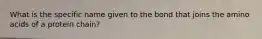 What is the specific name given to the bond that joins the amino acids of a protein chain?