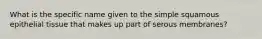 What is the specific name given to the simple squamous epithelial tissue that makes up part of serous membranes?