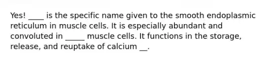 Yes! ____ is the specific name given to the smooth endoplasmic reticulum in muscle cells. It is especially abundant and convoluted in _____ muscle cells. It functions in the storage, release, and reuptake of calcium __.