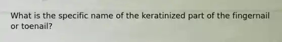 What is the specific name of the keratinized part of the fingernail or toenail?