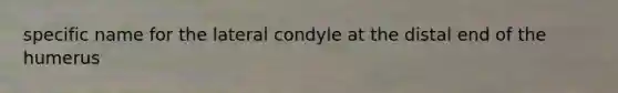 specific name for the lateral condyle at the distal end of the humerus