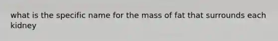 what is the specific name for the mass of fat that surrounds each kidney