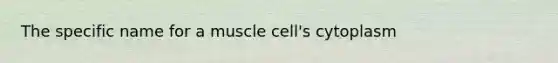 The specific name for a muscle cell's cytoplasm