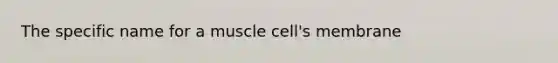 The specific name for a muscle cell's membrane