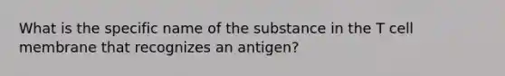 What is the specific name of the substance in the T cell membrane that recognizes an antigen?