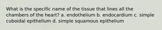 What is the specific name of the tissue that lines all the chambers of <a href='https://www.questionai.com/knowledge/kya8ocqc6o-the-heart' class='anchor-knowledge'>the heart</a>? a. endothelium b. endocardium c. simple cuboidal epithelium d. simple squamous epithelium