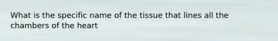 What is the specific name of the tissue that lines all the chambers of the heart