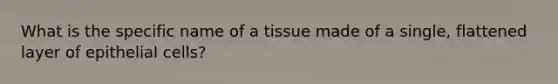 What is the specific name of a tissue made of a single, flattened layer of epithelial cells?