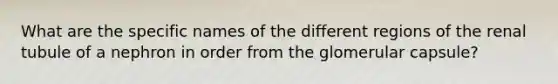 What are the specific names of the different regions of the renal tubule of a nephron in order from the glomerular capsule?