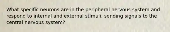 What specific neurons are in the peripheral nervous system and respond to internal and external stimuli, sending signals to the central nervous system?